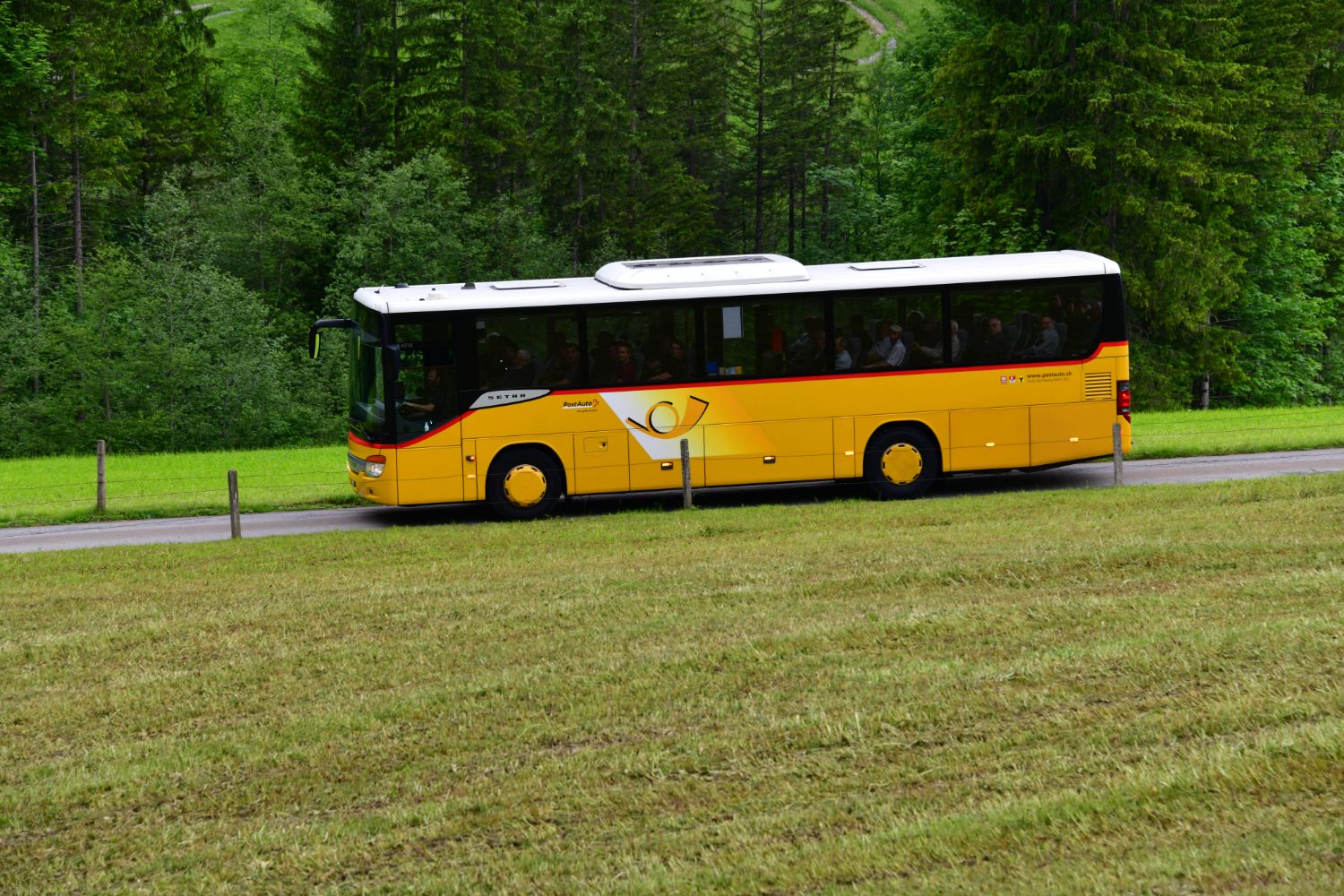 MSE_5055.jpg